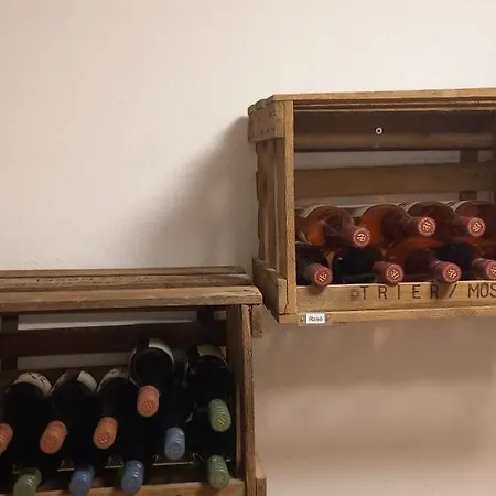 Apartmán Petrisberg Trevír