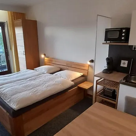 Apartment Petrisberg *