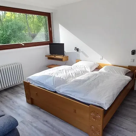 Apartment Petrisberg