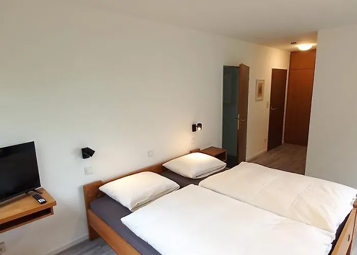 Apartment Petrisberg *