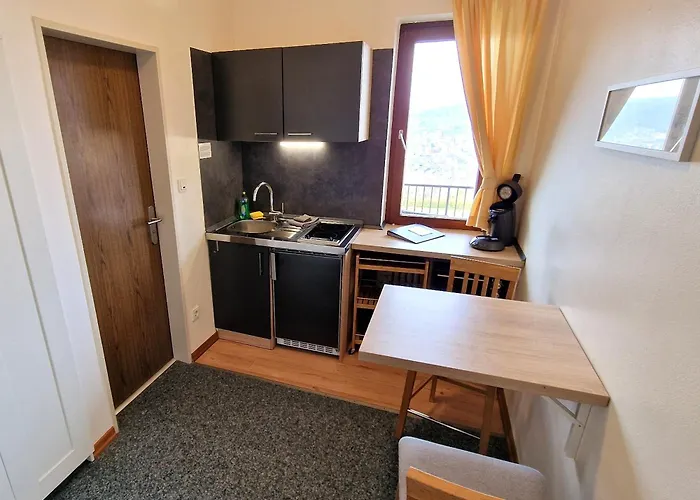 Apartman Petrisberg *